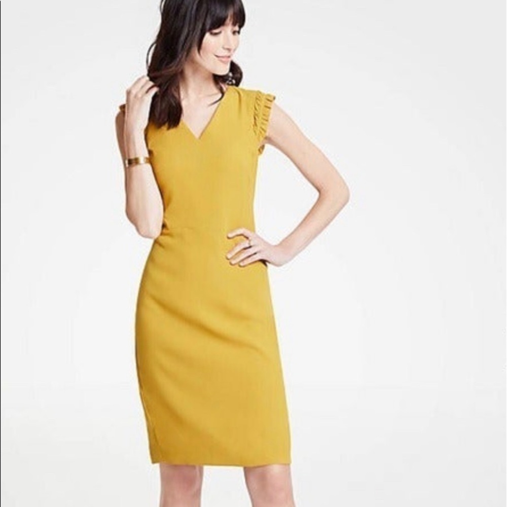 Ann Taylor Dress